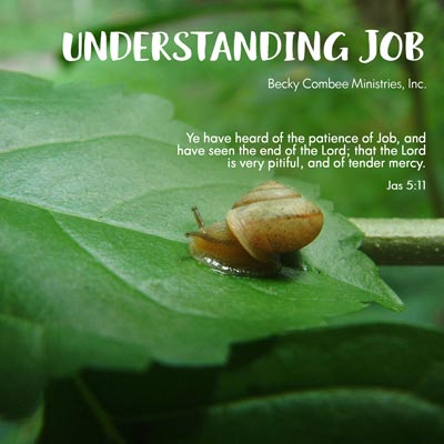 Understanding Job